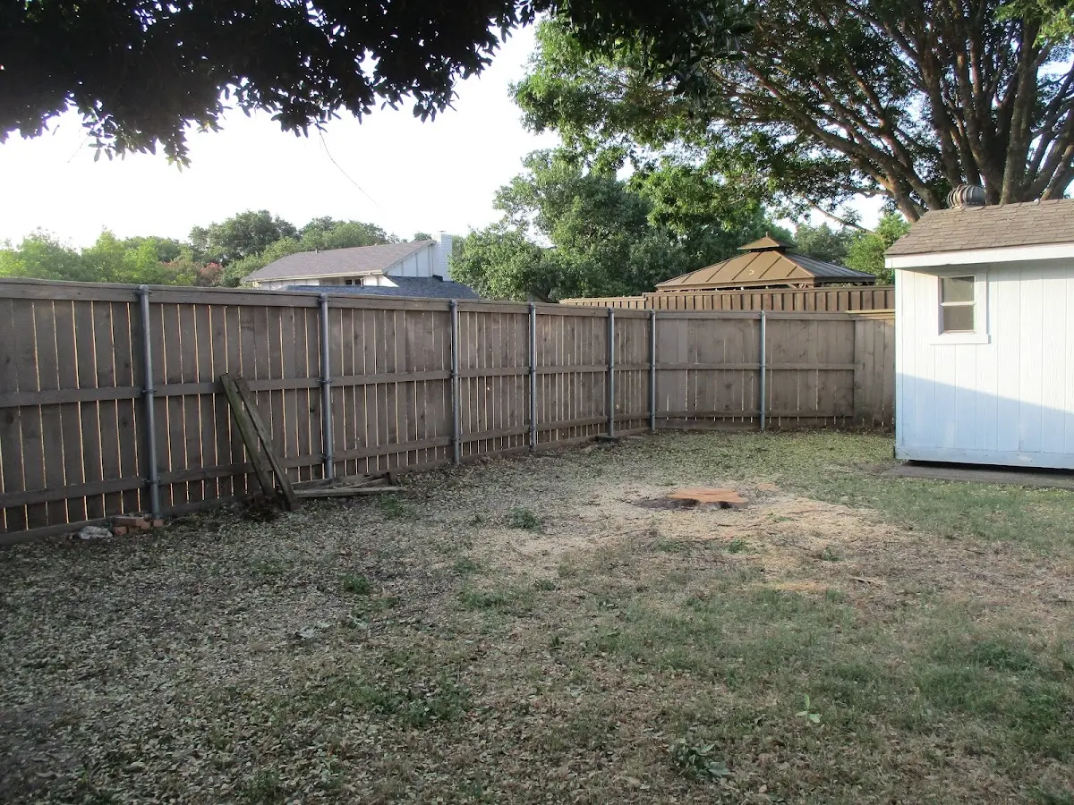 Cleared yard after professional tree removal in Slatington